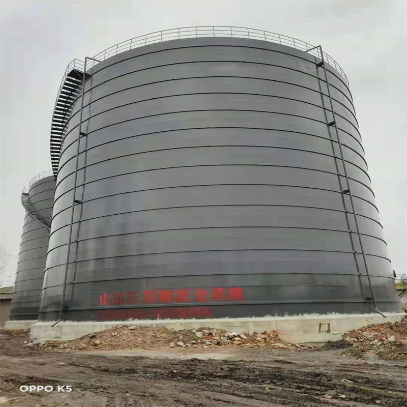 公坡镇3万吨大型钢板库