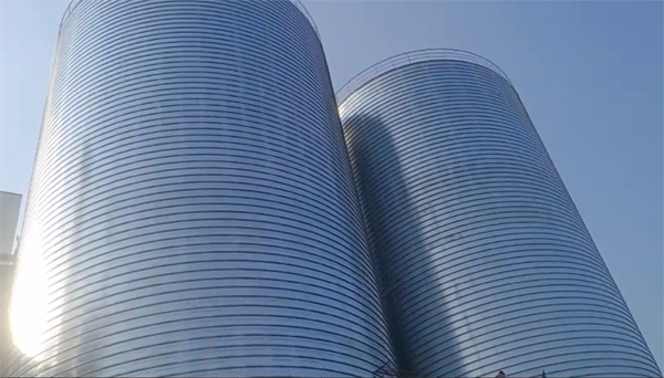 公坡镇2座混凝土高架卷板仓